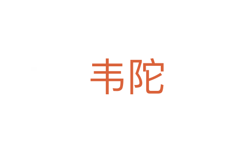 韦陀